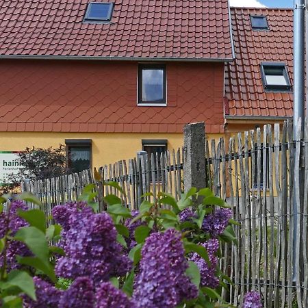 Hainich-Zeit Rodeberg المظهر الخارجي الصورة