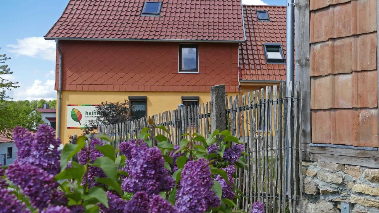 Hainich-Zeit Rodeberg المظهر الخارجي الصورة